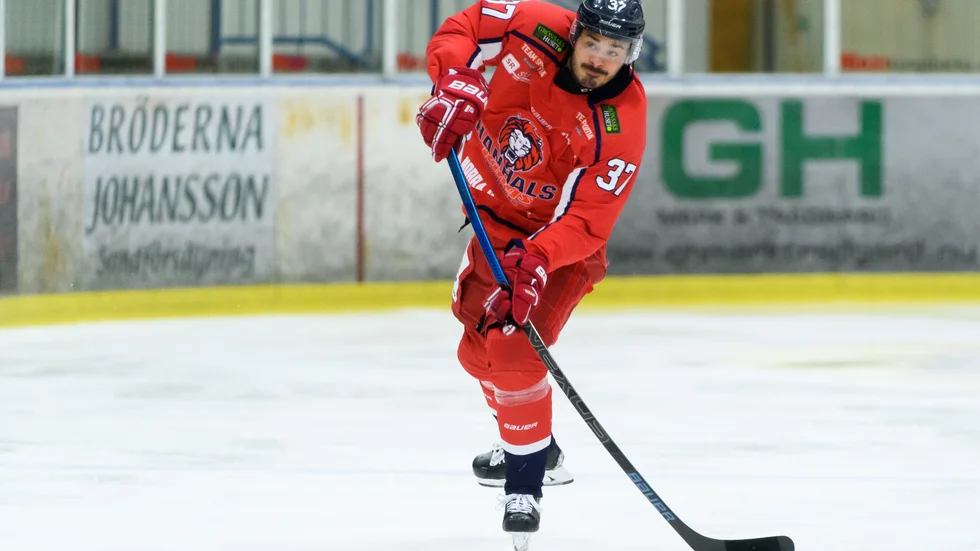 Anton Avehag är enligt Sportens uppgifter överens med Boden Hockey.