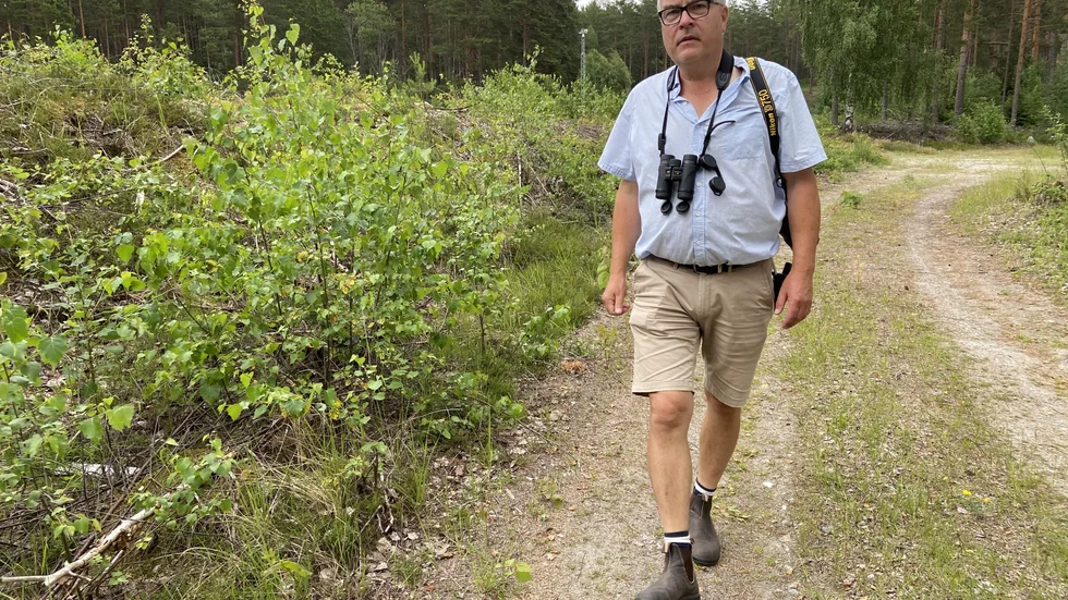 Stefan Andersson, kommunekolog, Nyköpings kommun jobbar med ett projekt nära vattenverket i Nyköping för att stärka den rödlistade arten sandödla. 