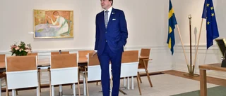 Regeringsbildningar i Sverige tar längre tid än i många andra länder