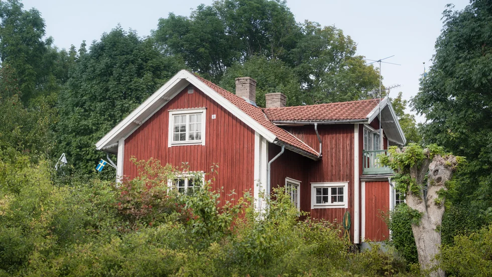 Michelle, 9 år, hamnar i "Att överleva en sommar" hos en fosterfamilj som bor i ett ensligt hus på landet. Familjen och huset verkar dölja många hemligheter.