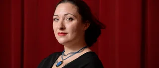 Bokrecension: Grått är färgstarkt i Anna Focks nya roman 