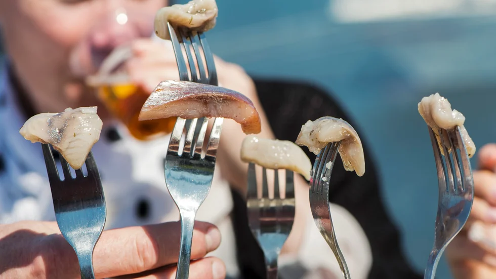 "Sillen är inte bara en läcker fisk till midsommarlunchen. Den är en grundpelare för de ekosystem som finns i havs- och skärgårdsmiljö, bland annat som föda åt andra fiskar, fåglar och däggdjur", skriver debattörerna.