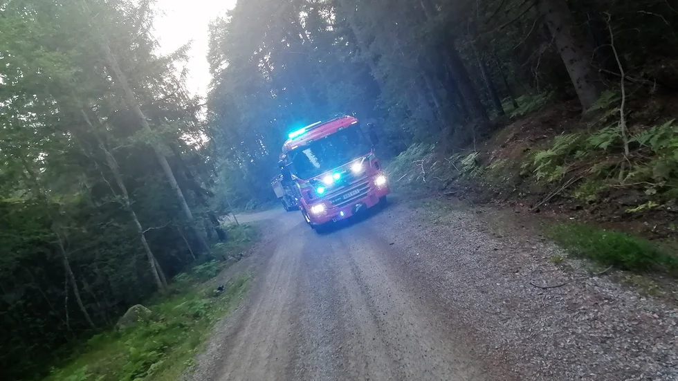 Det brinner ungefär 300 meter in i skogen.