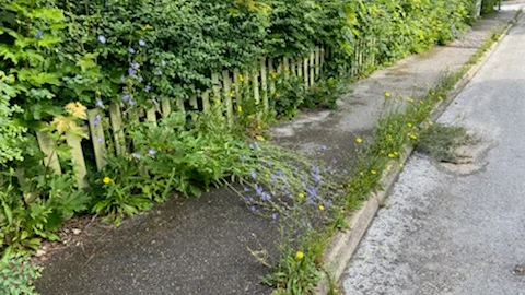 Trottoarer måste hållas efter.