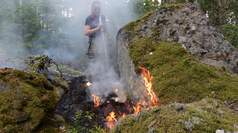 I fredags eldhärjades ett stort skogsområdet sydost om Rimforsa. Nu utreds händelsen som grov mordbrand.