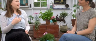 De sänder livsberättelser och musik från växthuset