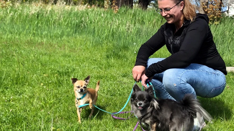 Maria Thuresons två chihuahuor heter Gösta och Doris.
– Det är efter barnprogrammet "Grävlingen och kossan" som gick på tv. 
Maria tycker förstås inte att hundarna liknar några andra djur.
– Men jag tyckte att namnen passade och så är de halvsyskon.