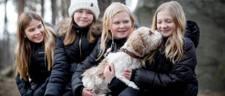 Elvaåringar rastar hundar till förmån för Barncancerfonden: "Så det kan forskas mer"