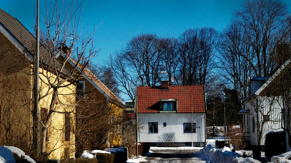Bort med tassarna från husägarna!