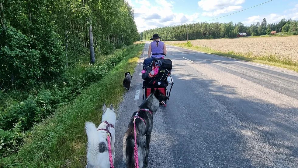 "Vi tycker att det är superhäftigt och kommer definitivt att göra ett liknande äventyr i framtiden", säger Elin Albertsson.