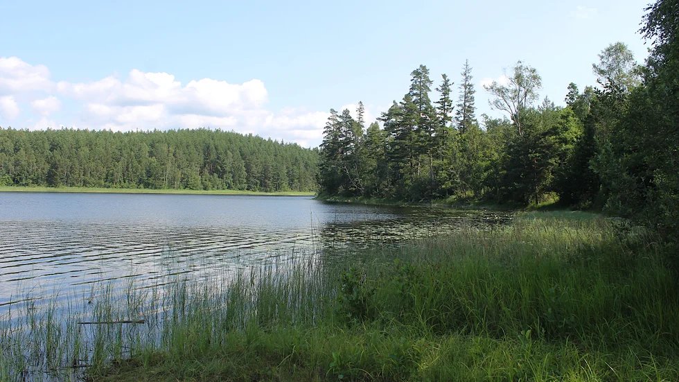 I området runt Höksjön, väster om Godegård, ska Zinkgruvan Mining göra markprover under hösten.