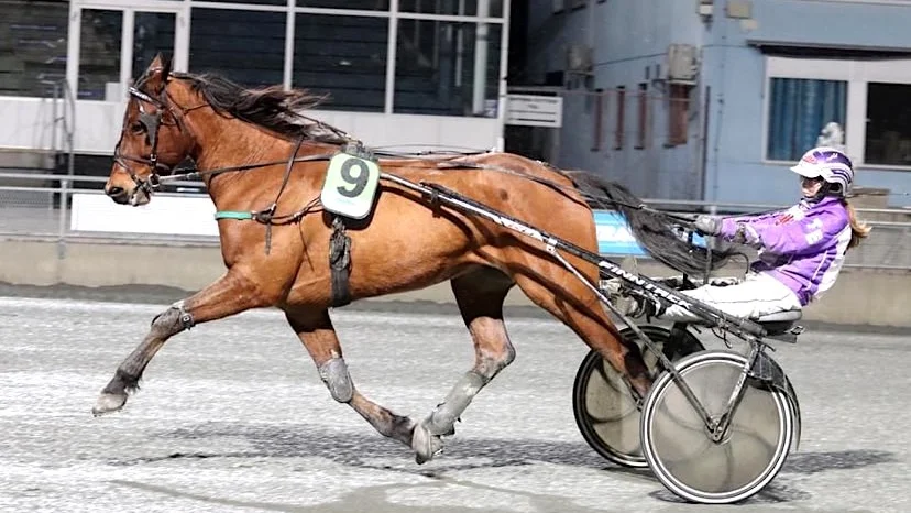 Tilde Eriksson slutade fyra med Bailiff i juniorchansen på Dannero.