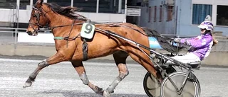 Tilde Eriksson fyra i juniorchansen – inga lokala finalbiljetter i Svenskt Kallblodskriterium