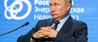 Putin: Siktar på klimatneutralt Ryssland 2060