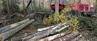 Fortsatt polarisering är inte svaret på klimatkrisen