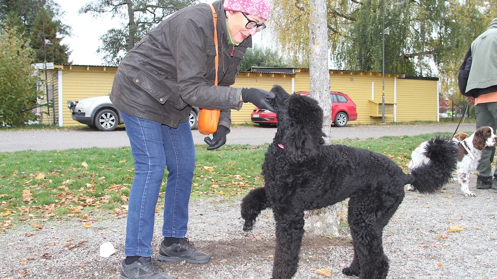 Anna Vedin har varit med på hundpromenaderna sedan starten. Här är hon med sin pudel Raska som bara är sju månader.