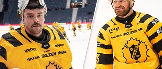 Lindvall mellan stolparna – och Mascherin tillbaka i spel • Så ställer AIK upp mot Malmö