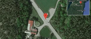 Älg på vägen