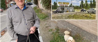 Clifford Söderberg berättar öppet om "galna" resan med sitt skötebarn Pite havsbad