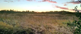 Läsarbild: En eftermiddag i september