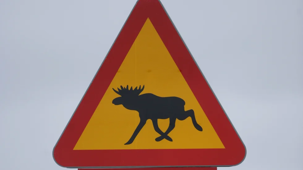 Polisen uppmanar trafikanter att det försiktigt. Arkivbild.