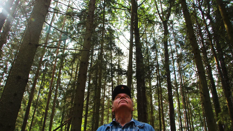 Pentti Kylliäinen oroas över hur skogen mår.