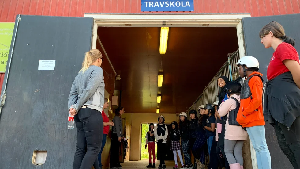Dagen inleds med en genomgång av schemat och teori. "Varför har vi hästarna i hagen, tror ni?" frågar ledaren Annelie Larsson som står framför vita talan.