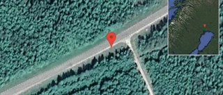 Just nu: Renar på vägen på E10