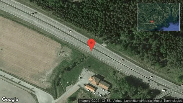 Rådjur på vägen på E4