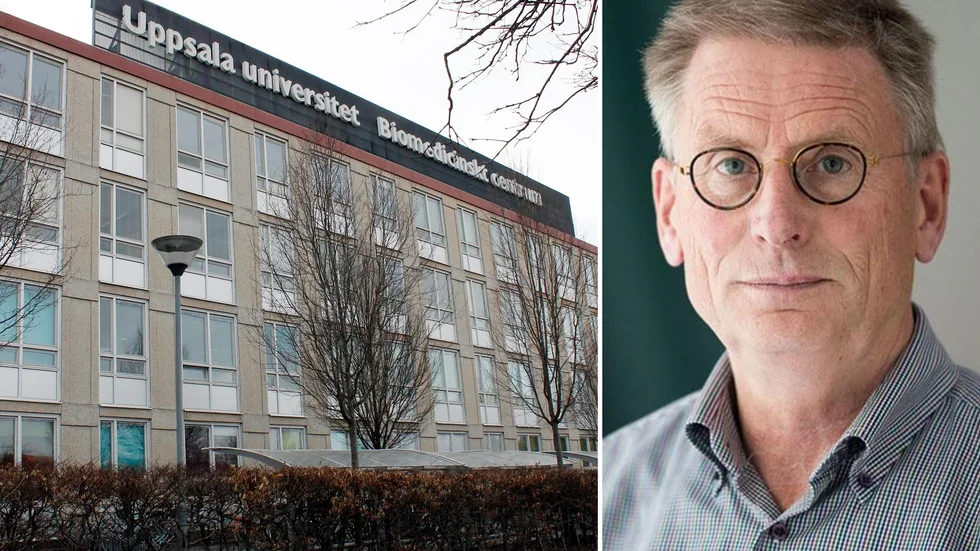 Lars Rönnblom har gått in som extern prefekt på Institutionen för neurovetenskap på grund av konflikter och arbetsmiljöproblem.