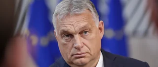Energisk strid om höga priser i EU