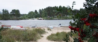 Det som sker i Luleå är inget annat än greenwashing