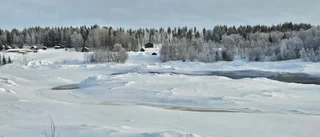 Läsarbilden                   