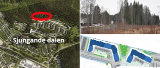 BESLUT: Kritiserat bostadsbyggande godkändes