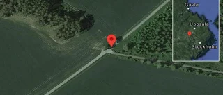 Träd över vägen påverkar trafiken på väg 584