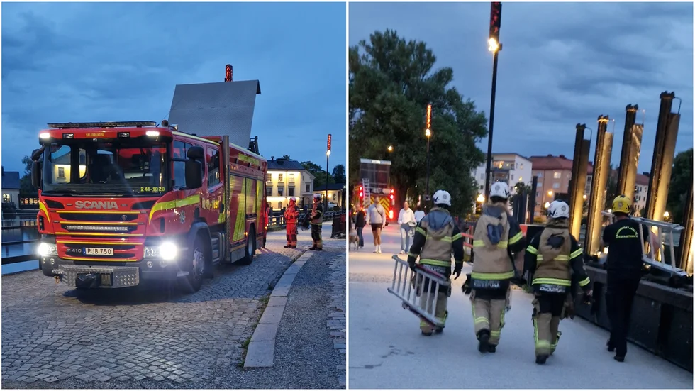 Med hjälp av en stor håv lyckades räddningstjänsten tillsammans med människor på plats att rädda den lilla harungen.