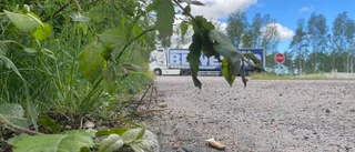 Slagsmål på 56:an gäckar polisen: "Man åker ut för att göra upp"