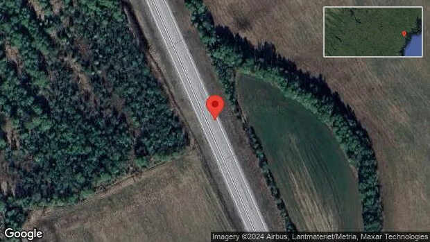 Rådjur innanför viltstängslet på E4