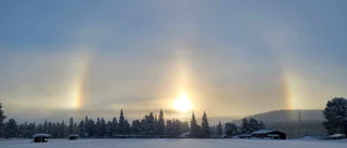 Läsarbilden                                 