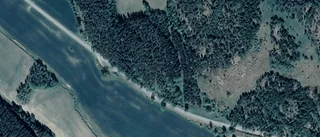 Ny ägare till tomt i Söderköping - priset: 250 000 kronor