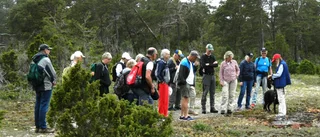 Vandring i Ojnareskogen       