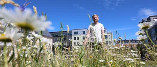 Därför är det ogräs längs med vägarna i Linköping