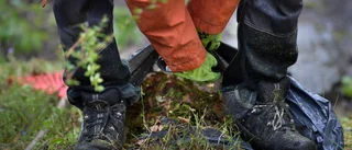 Lönegolvet skadar sörmländska företag