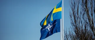 Natomedlemskapet kan ge oss säkerheten tillbaka