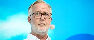L om Tidösamarbetet: Ingen dans på rosor