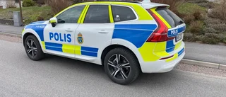Polisens natt: Olaga intrång i skola och älgolycka