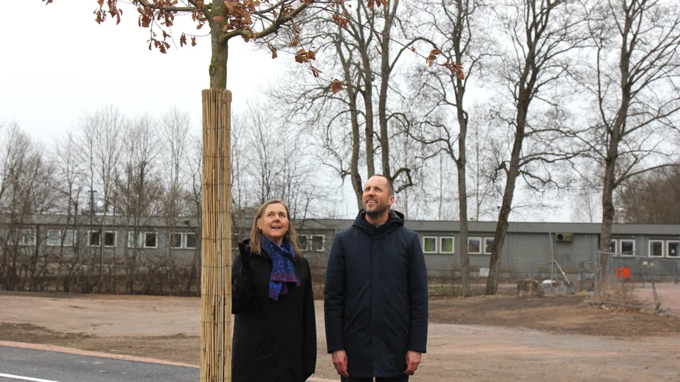 Erik Pelling (S) och stadsträdgårdsmästaren Elisabet Jonsson presenterade nyligen en "trädplan", som bland annat innefattar planteringen av 500 nya träd de kommande tio åren. 
