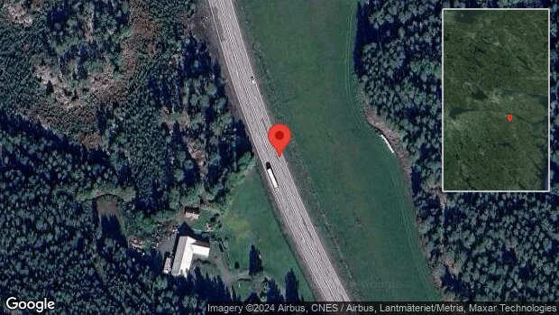 Älg innanför viltstängslet på E22