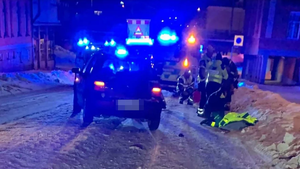 Kvinnan drabbades av flera frakturer och en av henne två hundar dog på väg till djursjukhus.