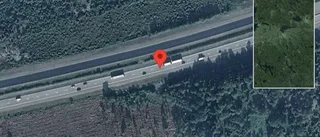 Varning för vildsvin på vägen på E4
